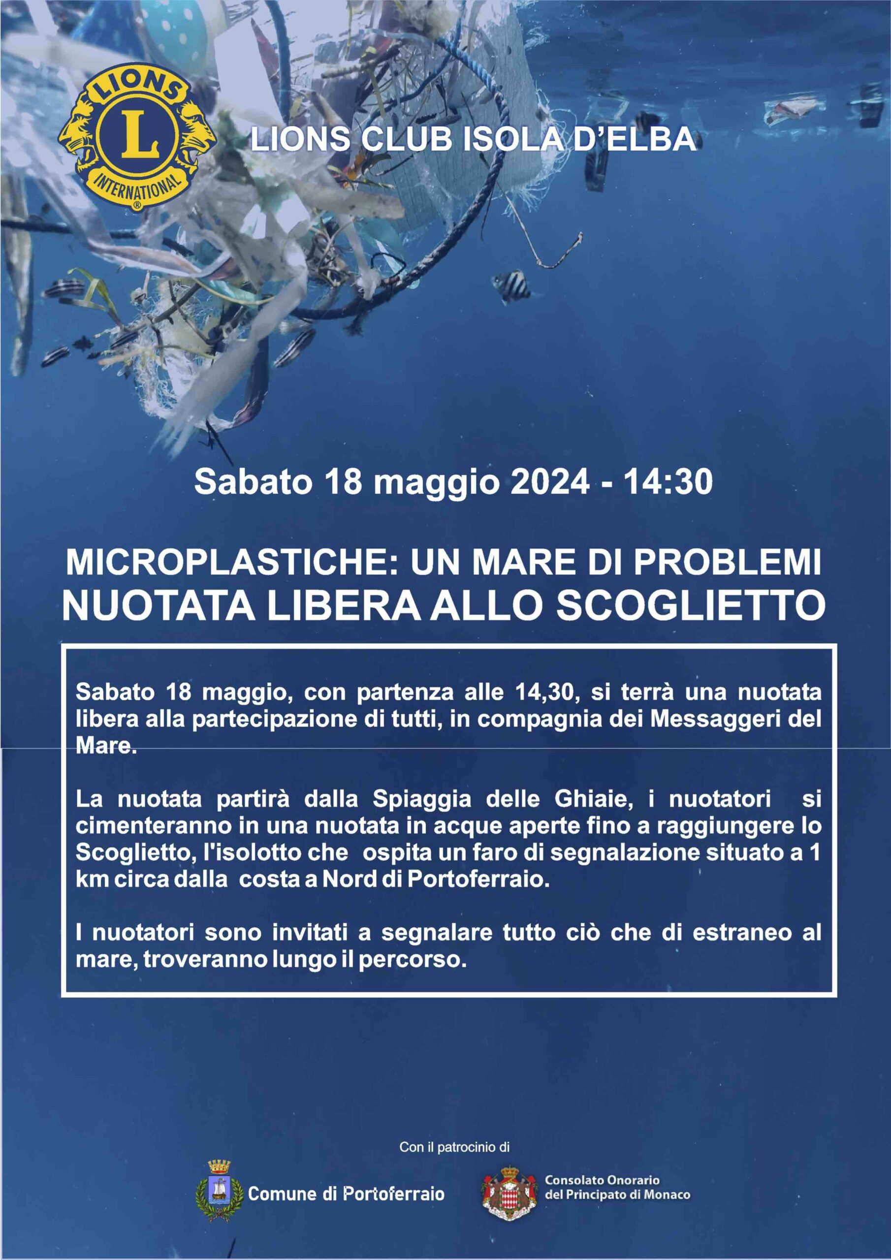 MICROPLASTICHE un mare di problemi Nuotata allo scoglietto