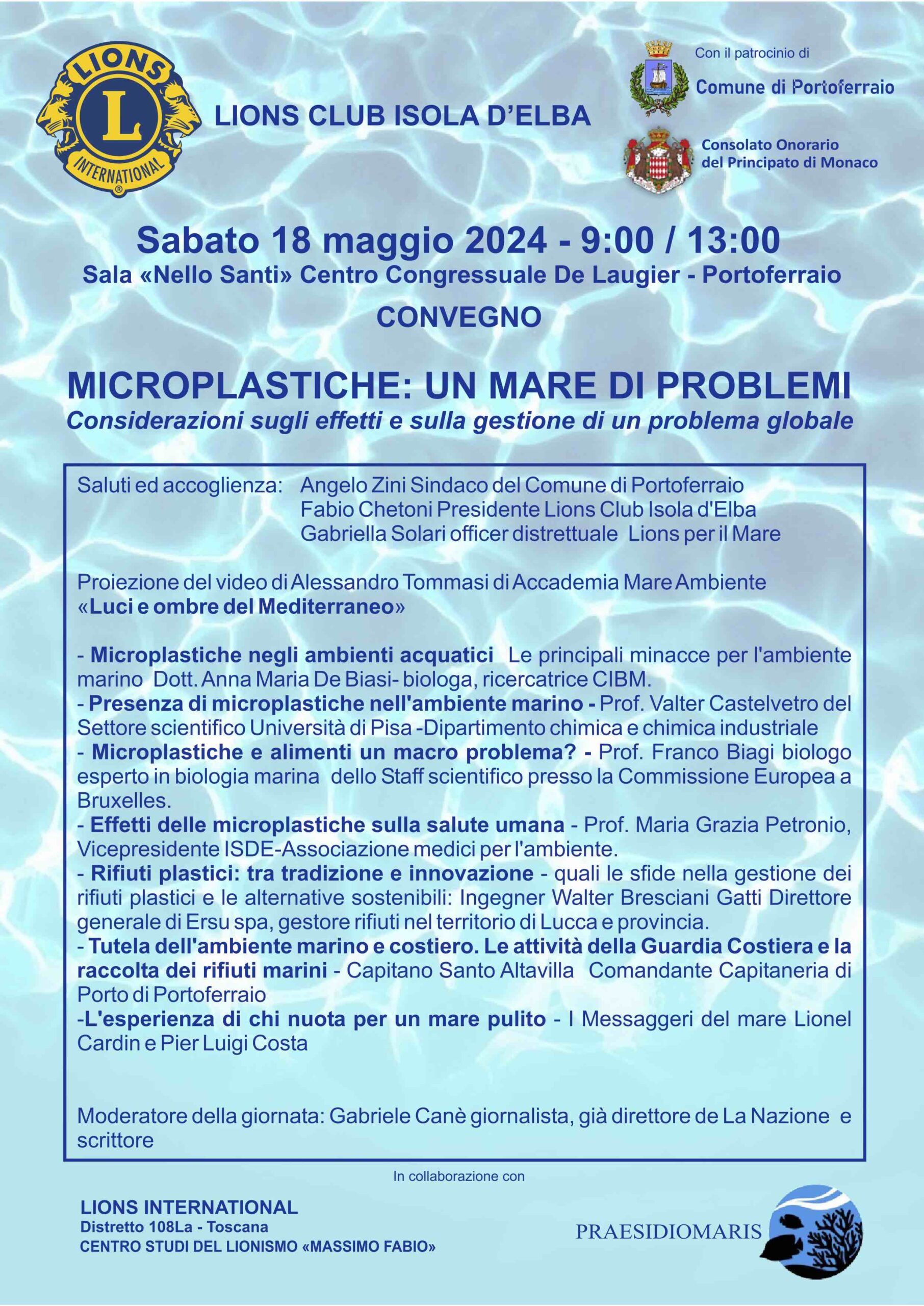 MICROPLASTICHE un mare di problemi